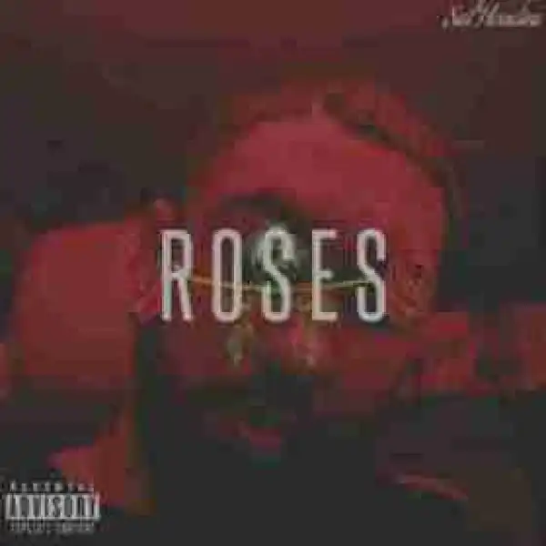 Roses BY Sal Houdini